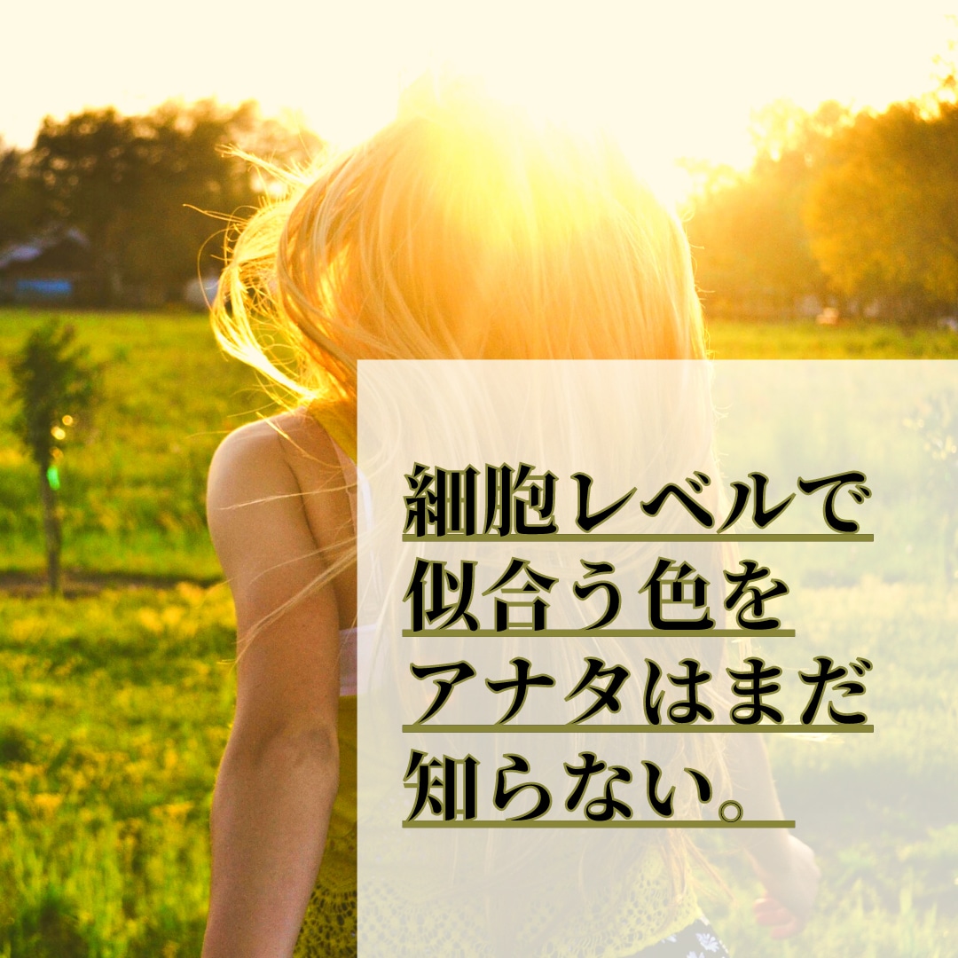 エネルギーカラーと細胞レベルで似合う色を鑑定します パーソナルカラーじゃない！細胞から輝く最強の色がある✨ イメージ1