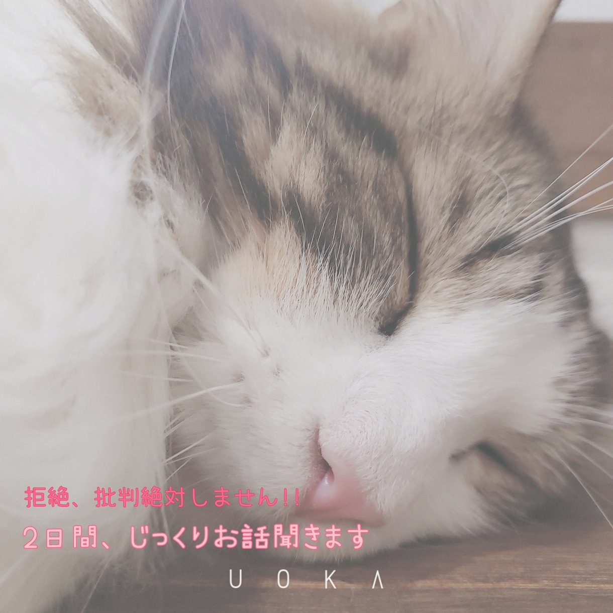 あなたのお話、じっくりお聞きします 拒絶、批判絶対しません！あなたに寄り添わせてください イメージ1