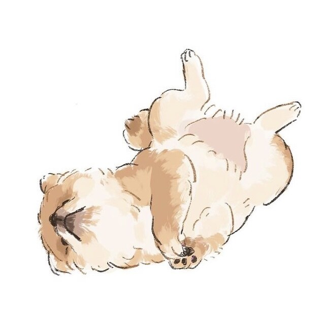 あなたのペット、動物の似顔絵描きます 可愛くて温かな雰囲気なイラストに再現します！ イメージ3