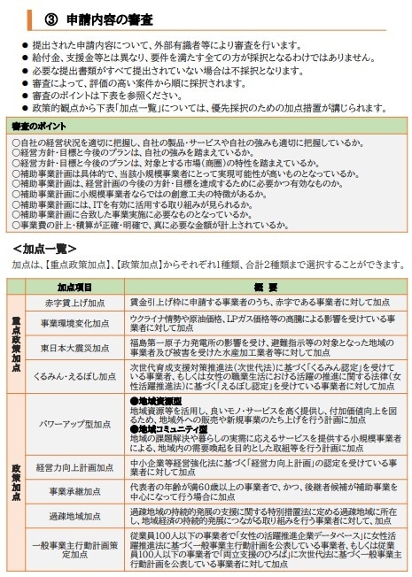 小規模事業者持続化補助金の事業計画書を作成します 【コンサル x 投資銀行】短納期で高品質な事業計画書の作成 イメージ9