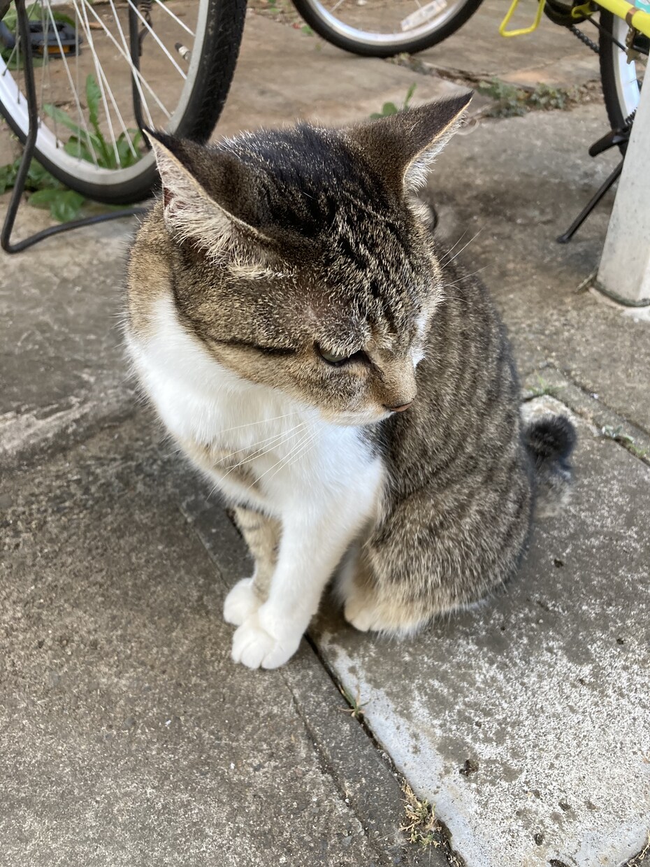 本当にやりたいことが見えてこない方へお探しします 未来のなりたい自分発見プロジェクト イメージ1
