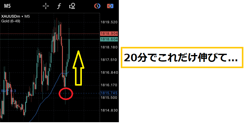 スマホFX 無裁量GOLD専用裏技手法教えます 超人気手法が5年目突入神セール→残り1名 イメージ4