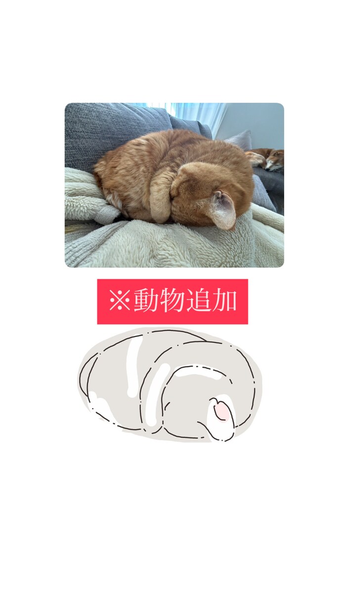 愛する家族（ペット）のイラスト描きます 一緒の写真に映らない子でもイラストなら大丈夫！ イメージ2