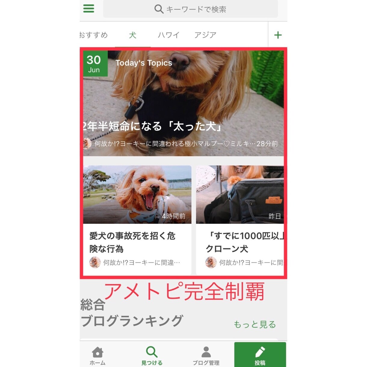 アメブロを5日間集中で徹底的に強化します 【Ameba公式トップブロガー】によるパワーブロガー養成術 イメージ7