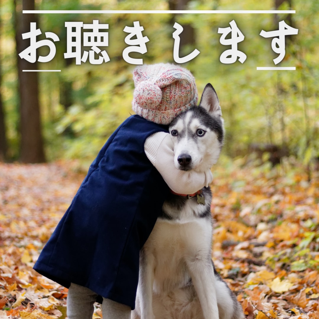 話を聞いてほしい！はい、ゆるるとお話お聴きします 雑談・愚痴・お悩み、何でも真摯に心をこめてお聴きします イメージ1