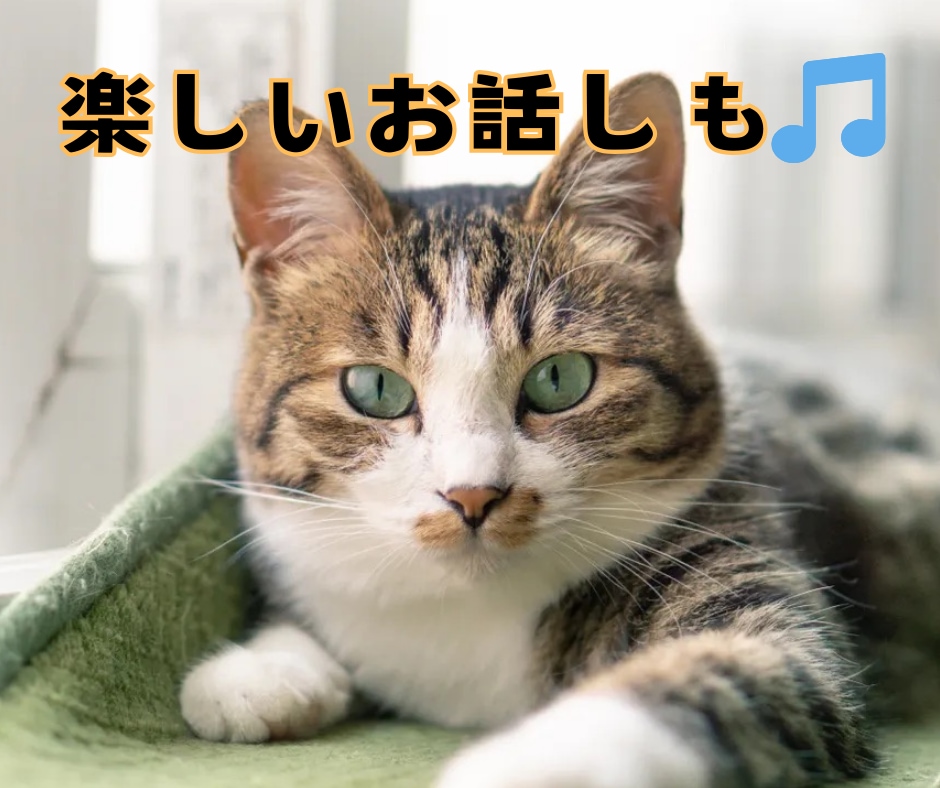 男性限定♡癒しボイスOLがどんなお話しも聞きます 雑談♡恋愛♡愚痴♡仕事のお悩み等なんでも！ イメージ6