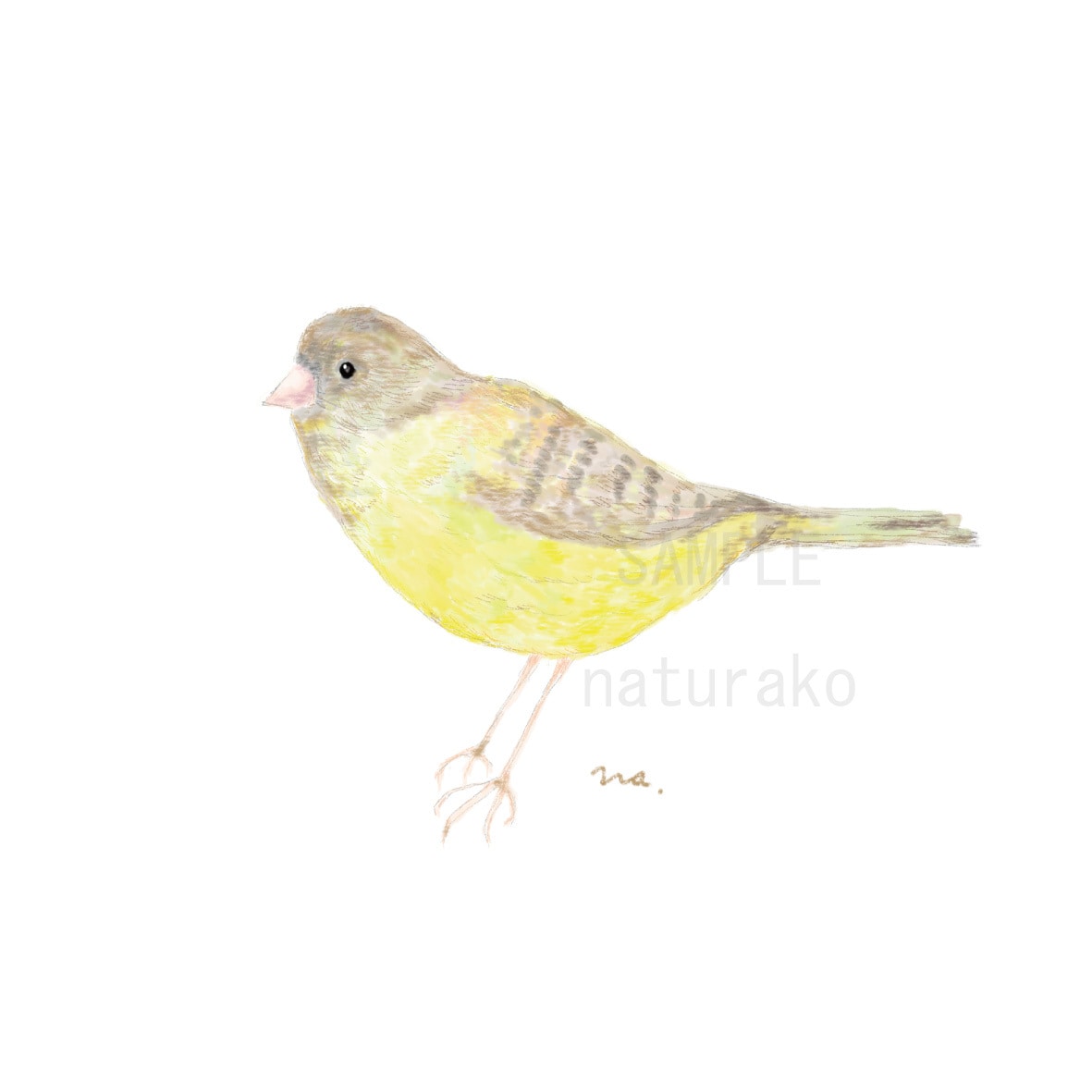あなたの大切なペットのイラストを描きます わんちゃんねこちゃんなどのアニマルイラストを描きます! イメージ7