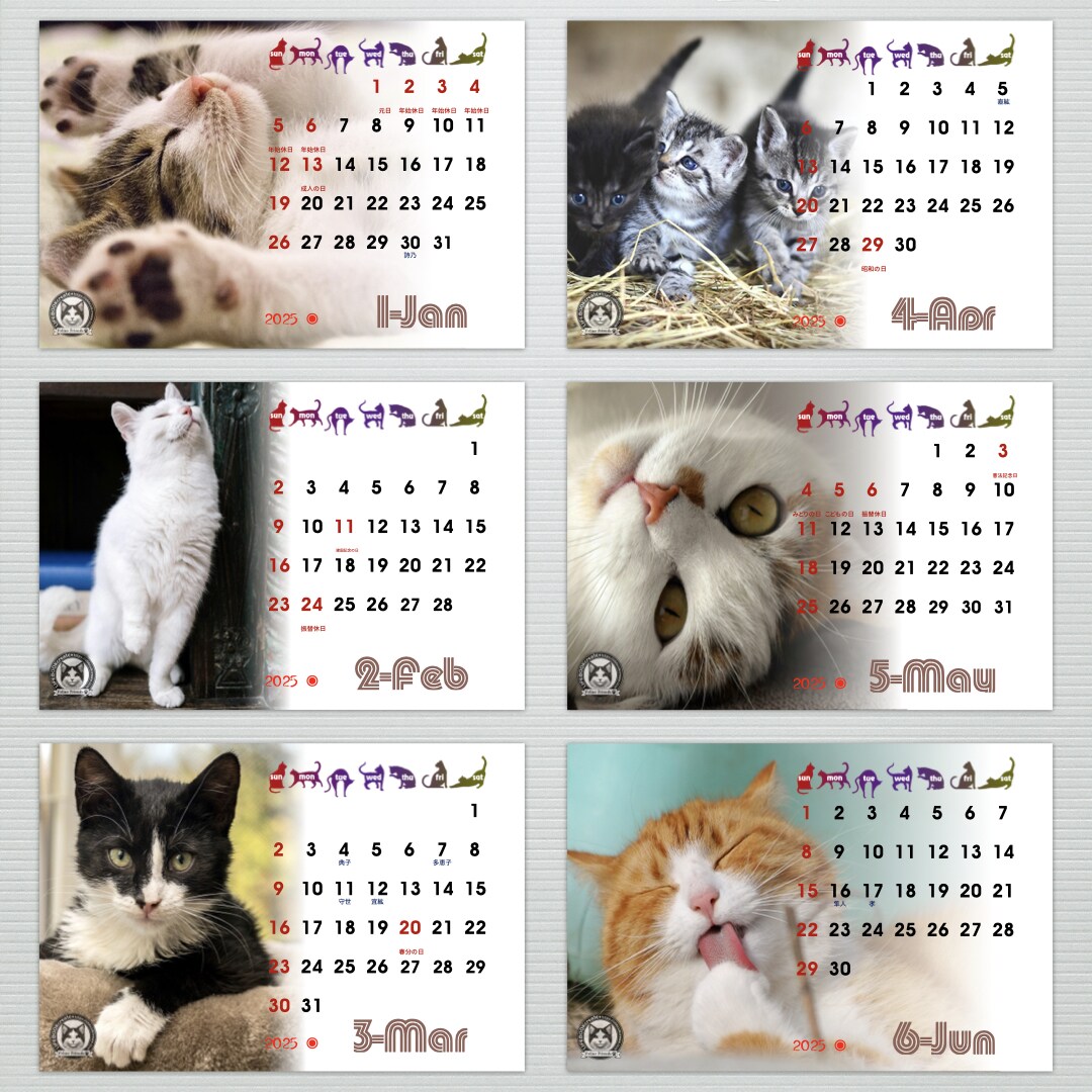 猫の愛くるしい瞬間を集めたフォトカレンダー作ります 2025年度版縁なしフル画像の卓上カレンダーで毎日を一緒に！ イメージ3