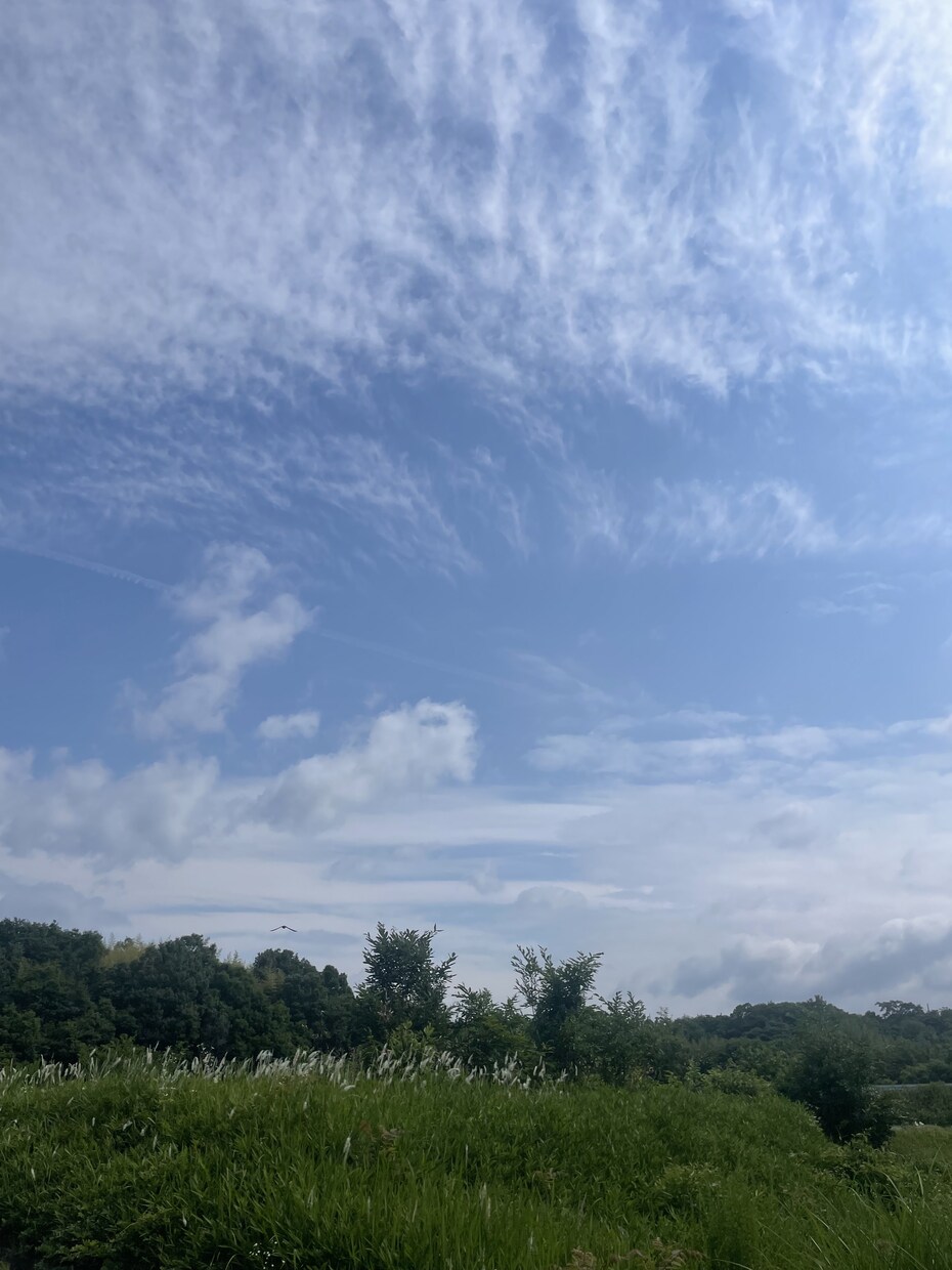 悩み相談.愚痴.子育て.不満聞きますます 自分1人で溜め込まないでください。 イメージ1