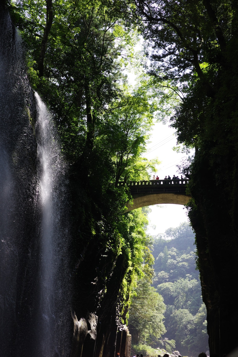 あなただけの国内旅行プランおまとめします 旅行計画を考えるのが面倒な方、苦手な方は任せてください イメージ3