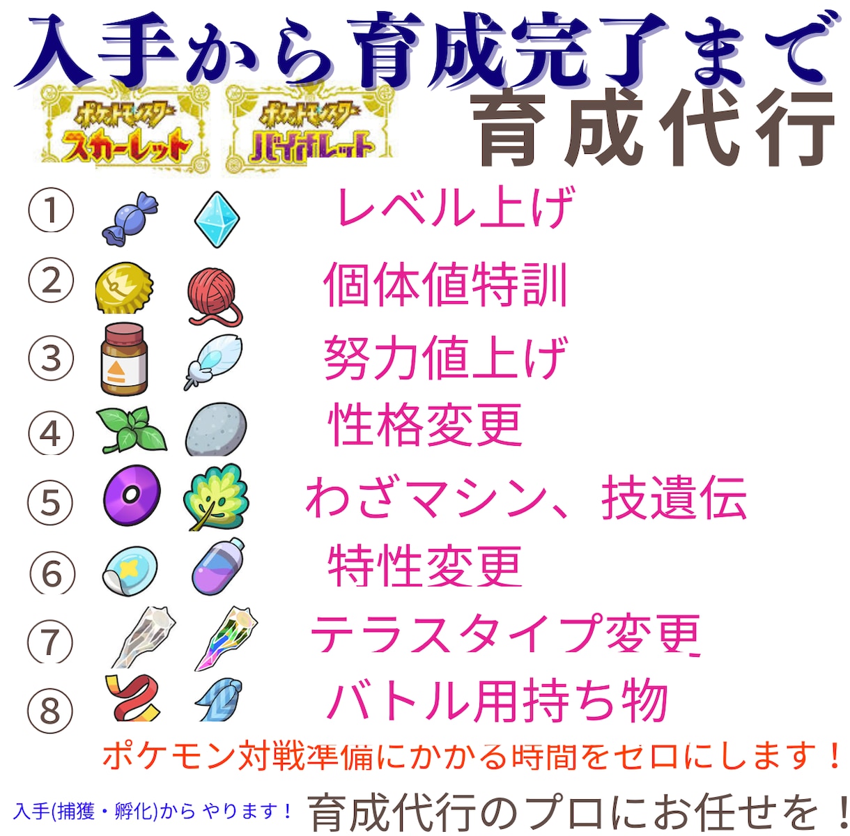ポケモンの厳選と育成代行します 2体セット【ポケモン厳選・育成代行　ポケモンSV・剣盾】 イメージ1