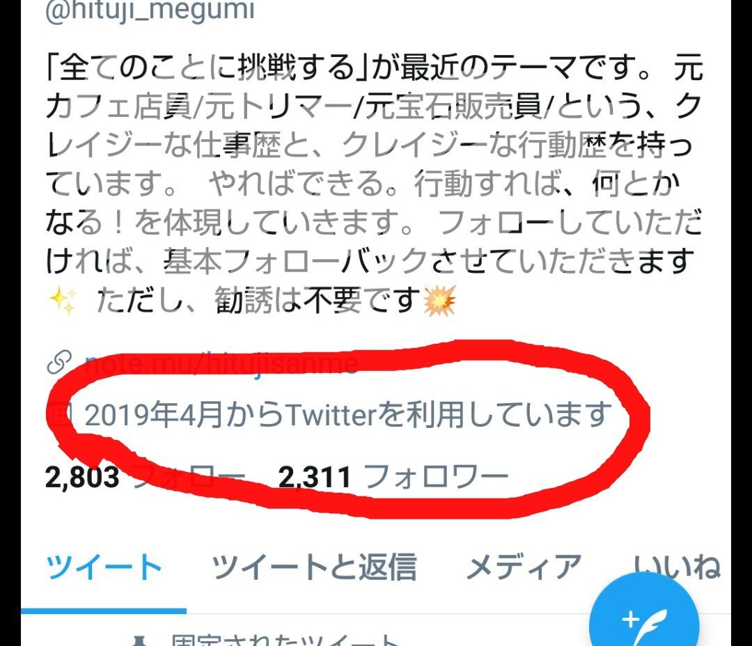 簡単  Twitterコンサル致します これからやりたい人、フォロワー数伸び悩んでいる人は是非！ イメージ1