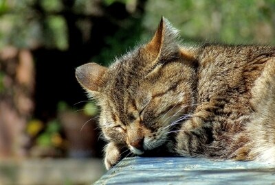 5日間何でもあなたのお話聞きます 現役ナースがあなたのお話なんでも受け止めます！ イメージ1