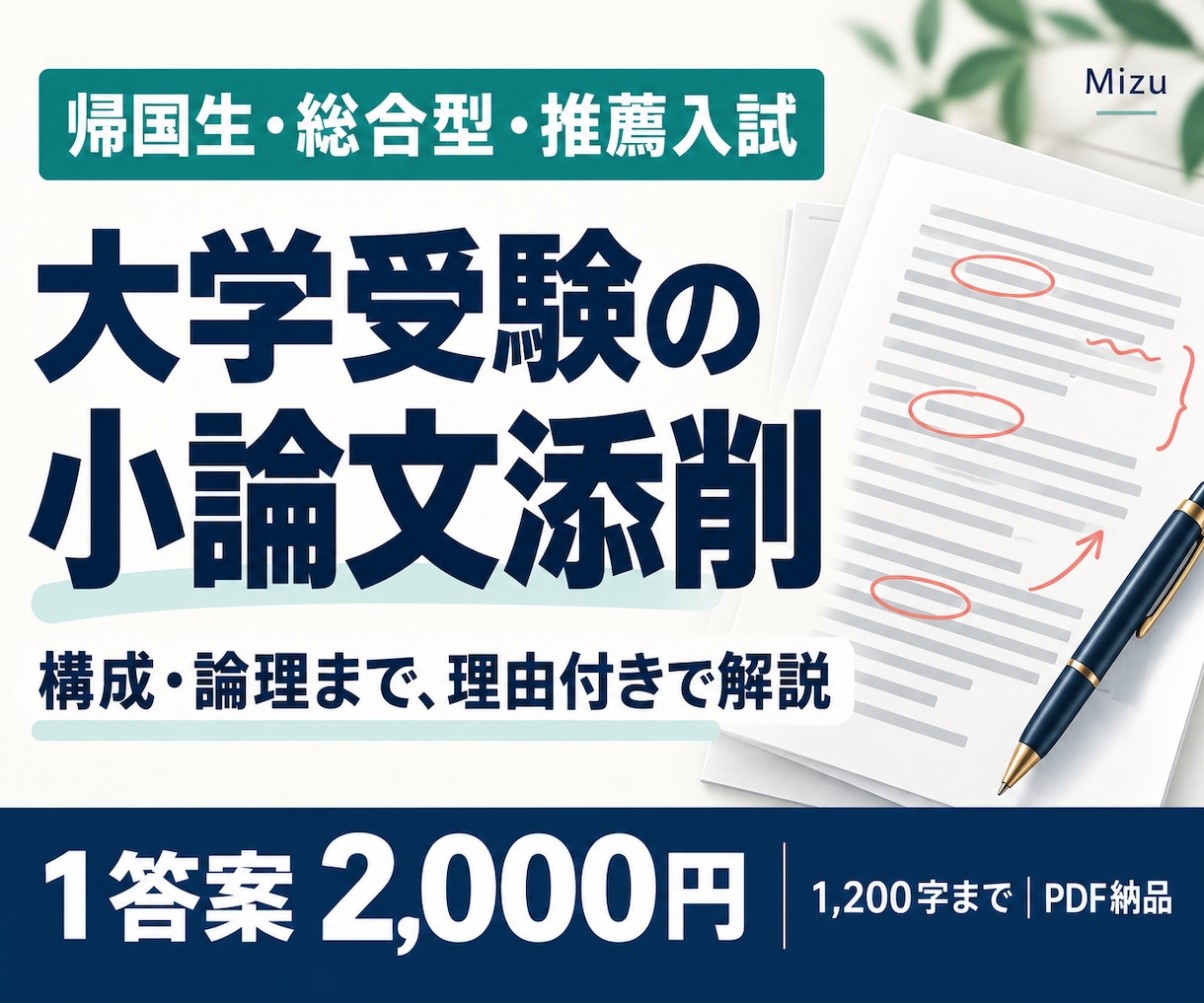 現役上智大生が大学受験に向けた小論文添削します 帰国子女出身者が丁寧に添削します！ イメージ1