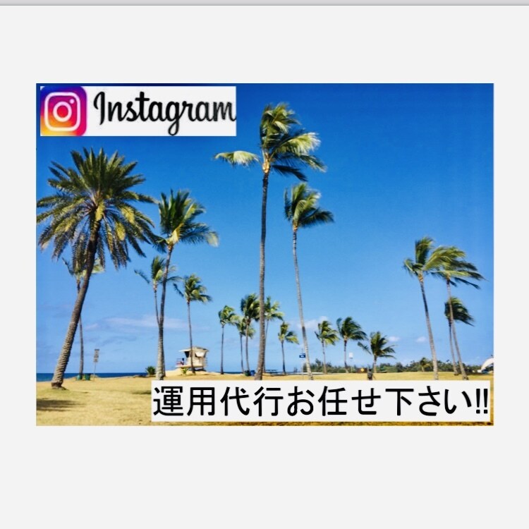 Instagramアカウント運用代行させて頂きます Instagramアカウント最大300フォロワーを増加‼︎ イメージ1