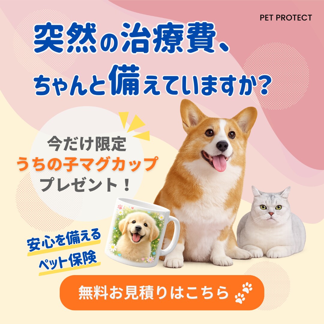 広告バナー制作のモニターを募集しています 女性向け広告バナーの制作が得意です♪ イメージ5
