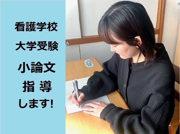 看護学校受験の小論文指導をします 看護学校の入試合格者の指導実績をふまえて受験指導をします。 イメージ1
