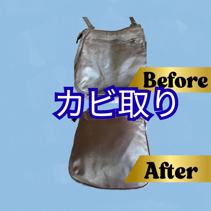 カビまみれになったバッグをクリーニングします お気に入りのバッグをまだ使おう イメージ1