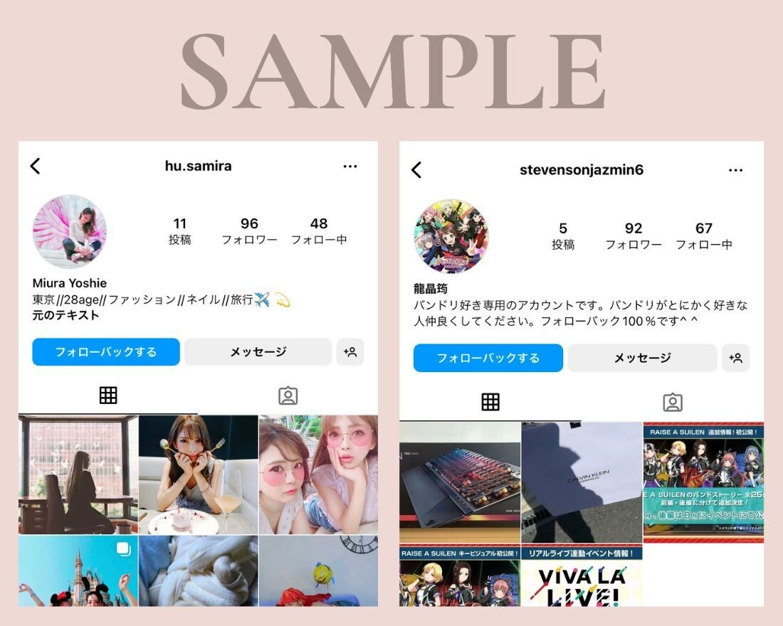 インスタ日本人フォロワーゆっくり100人増やします ご希望の日数で自然に増加させます｜最大30日間でゆっくり増加 イメージ2