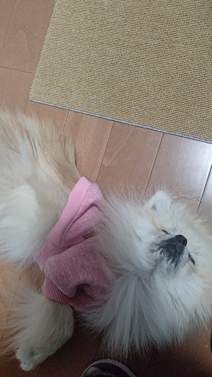 老若男女問わず!何でも聞きます 小さな事から大きな事までお聞かせください。 イメージ1