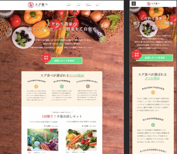 英語対応可！格安にてランディングページ制作します LPが必要で困ってるを方を格安でお手伝いいたします！ イメージ3