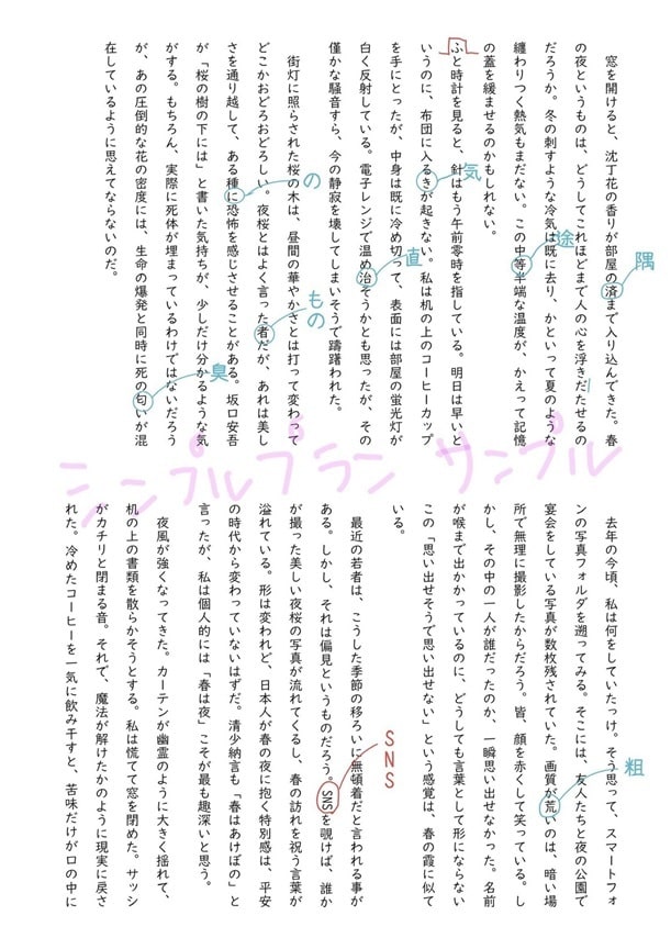 5枠限定大幅値下げ※日本語データの校正します 添削不要、文章の専門家の目を通したい、という方に最適 イメージ2
