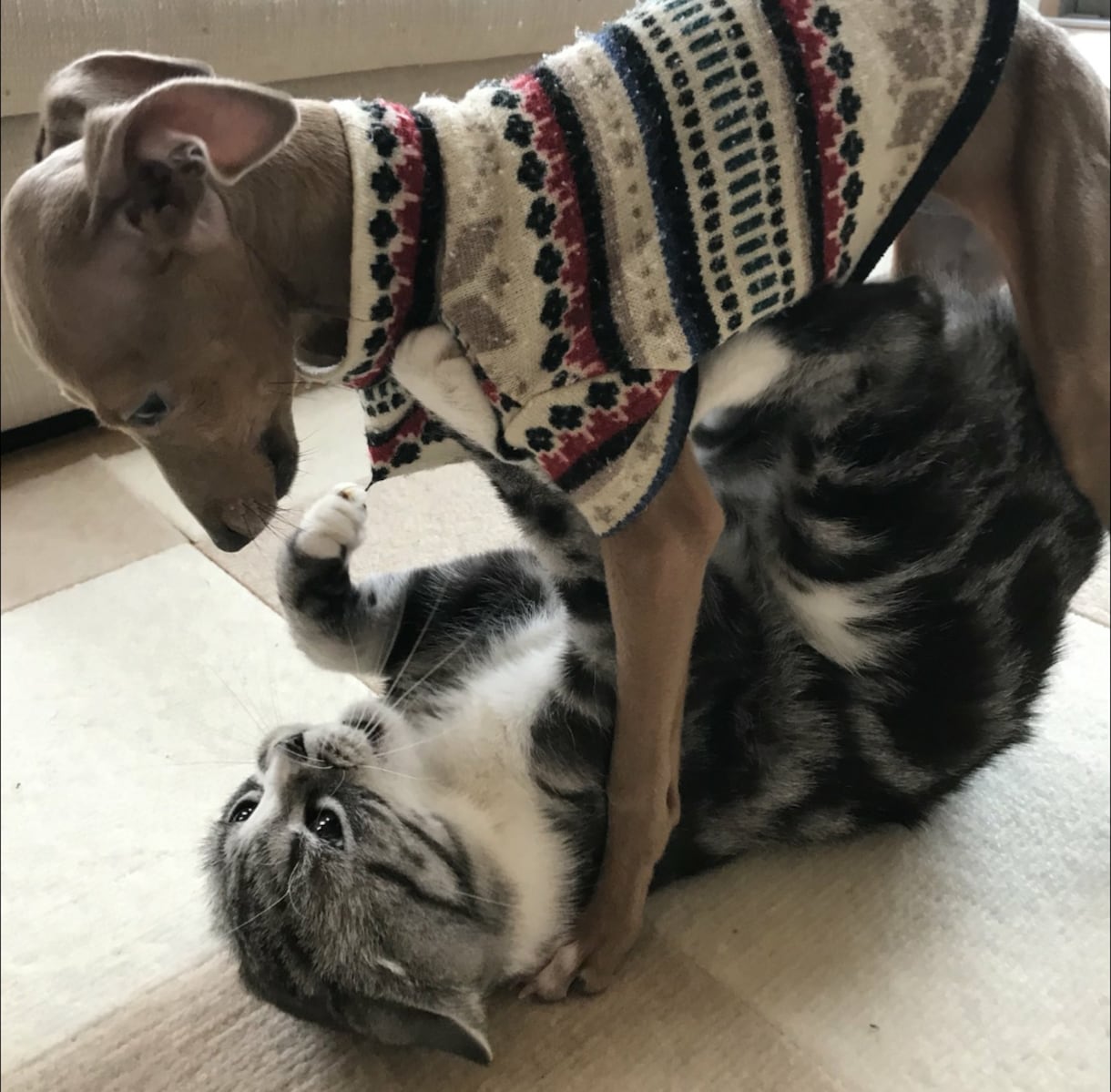 イケメンなセリフを呟きます 元気がないときやドキドキしたい時は俺に任せてｲｹﾒﾝﾎﾞｲｽ イメージ1