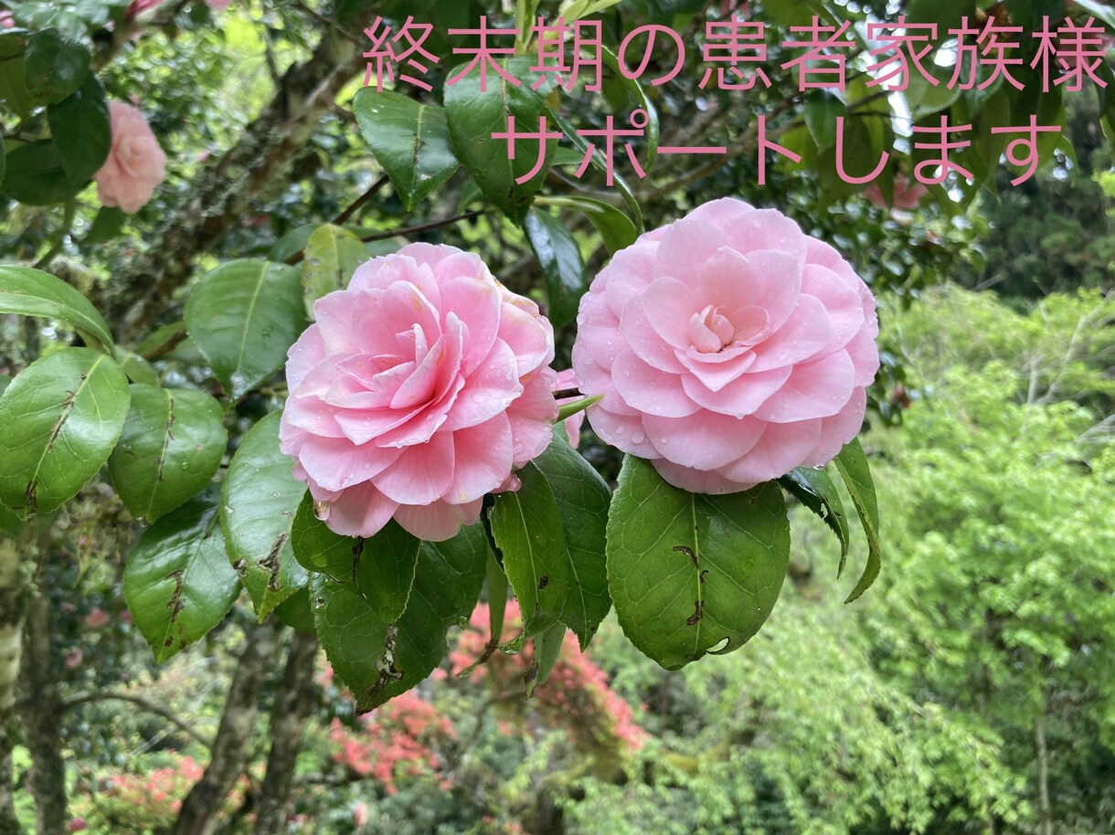 現役訪問看護師が終末期患者家族様をサポートします 余命数ヶ月をより充実した日々を過ごせるように イメージ1
