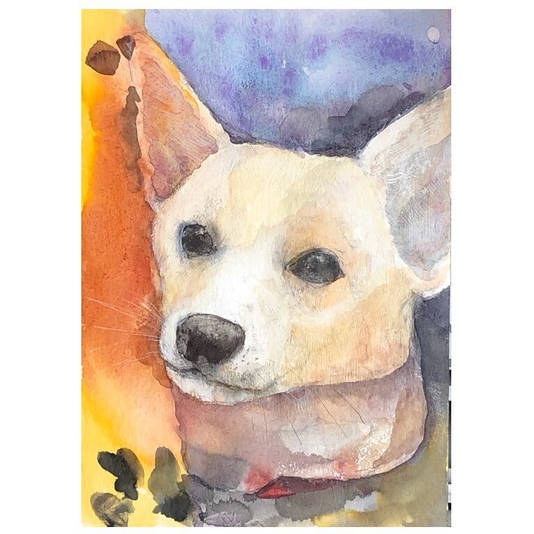 お子さんやペットの似顔絵承ります✨✨ます 淡い水彩にて似顔絵作成致します。 イメージ2