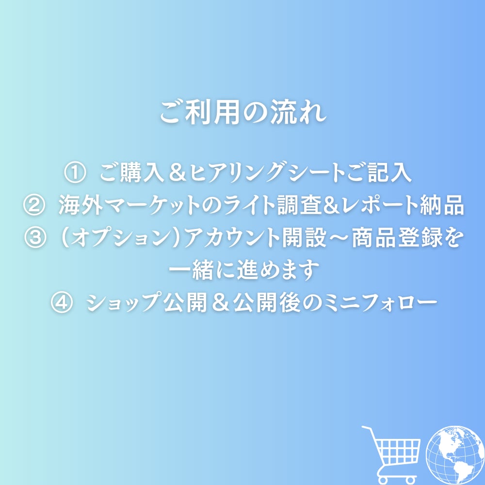 海外マーケットのライト調査＆出品スタート支援ます どの国・どのモールから始めるか1週間で方向性を出します イメージ3