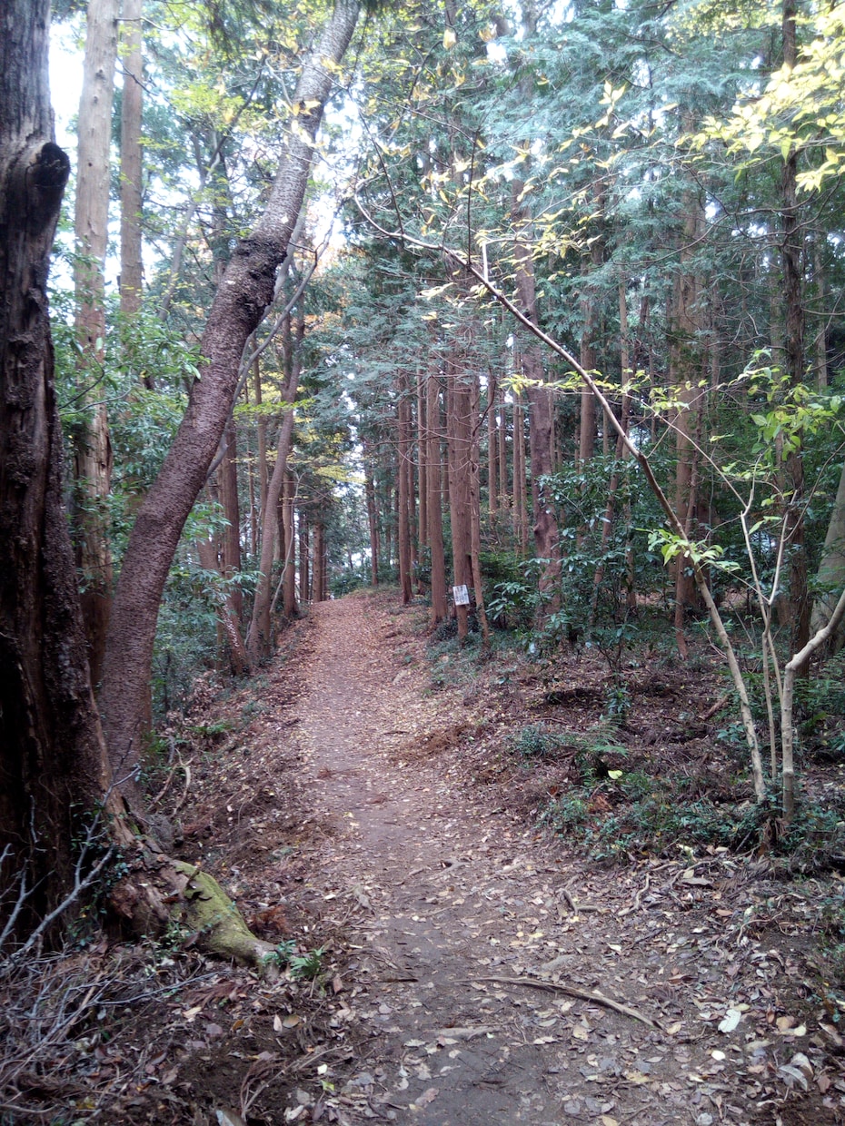 精神的に不安定な方を応援します。愚痴でもいい。何でも相談して下さい。 イメージ2