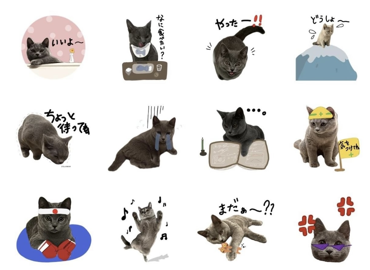 眠っているスマホの写真でLINEスタンプを作ります 可愛くて撮ったフォルダに入ったままの写真をLINEスタンプに イメージ5