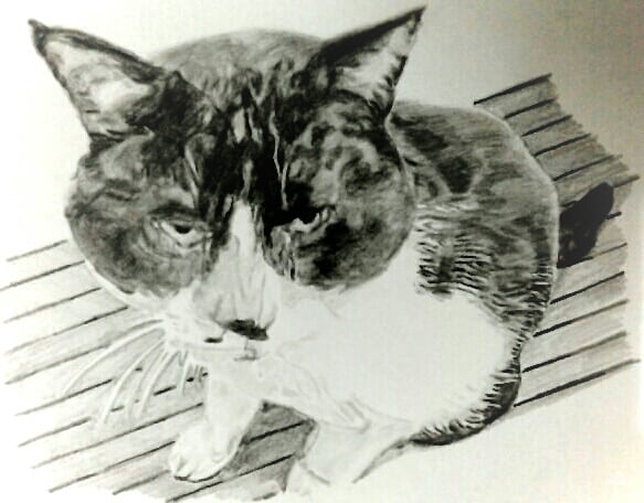 鉛筆画を描きます 人物、動物を鉛筆画で最高の一枚にしてみませんか。 イメージ4