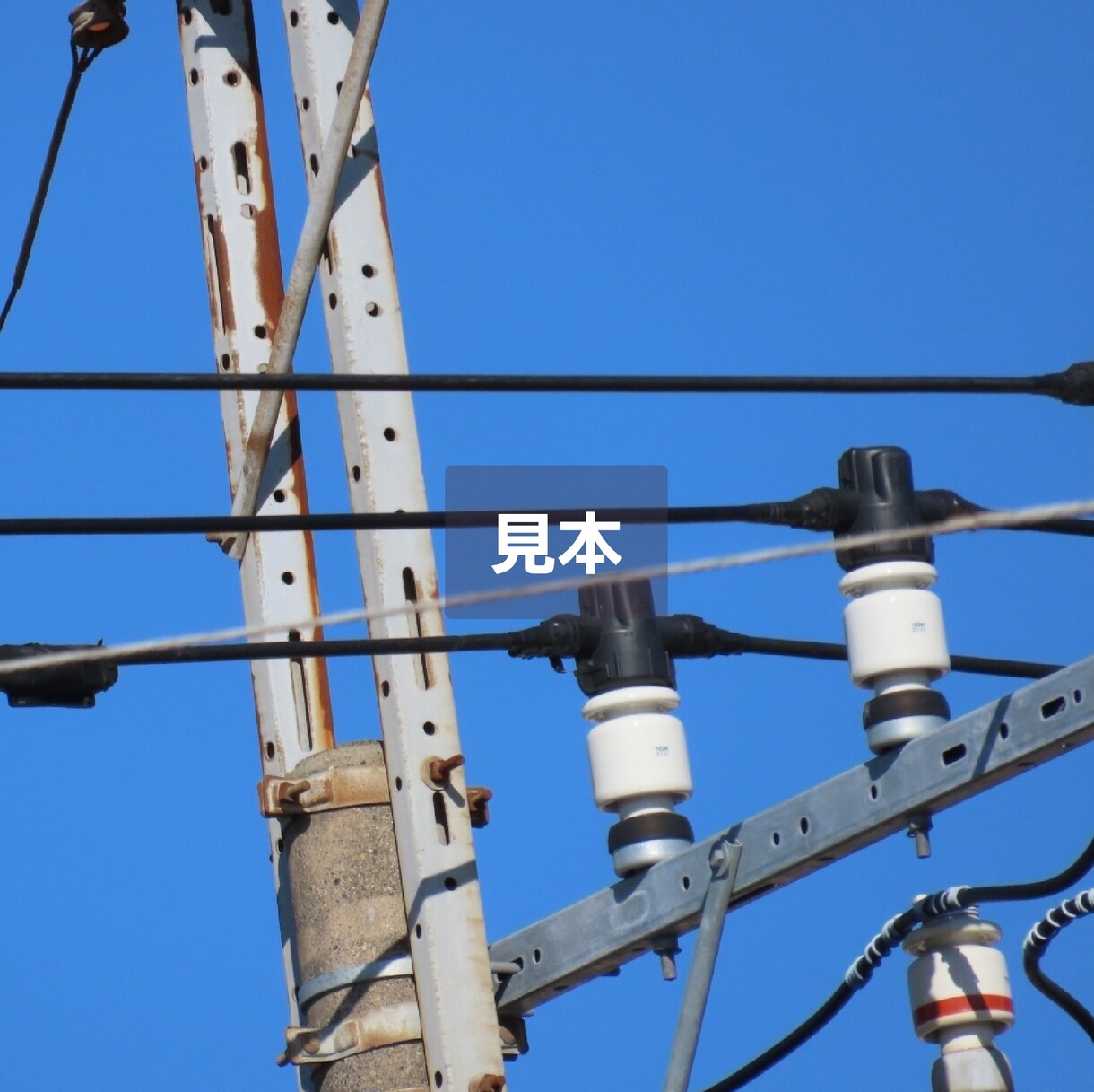 写真の素材を提供いたします シンプルかつ綺麗だと思っていただける素材を提供 イメージ3