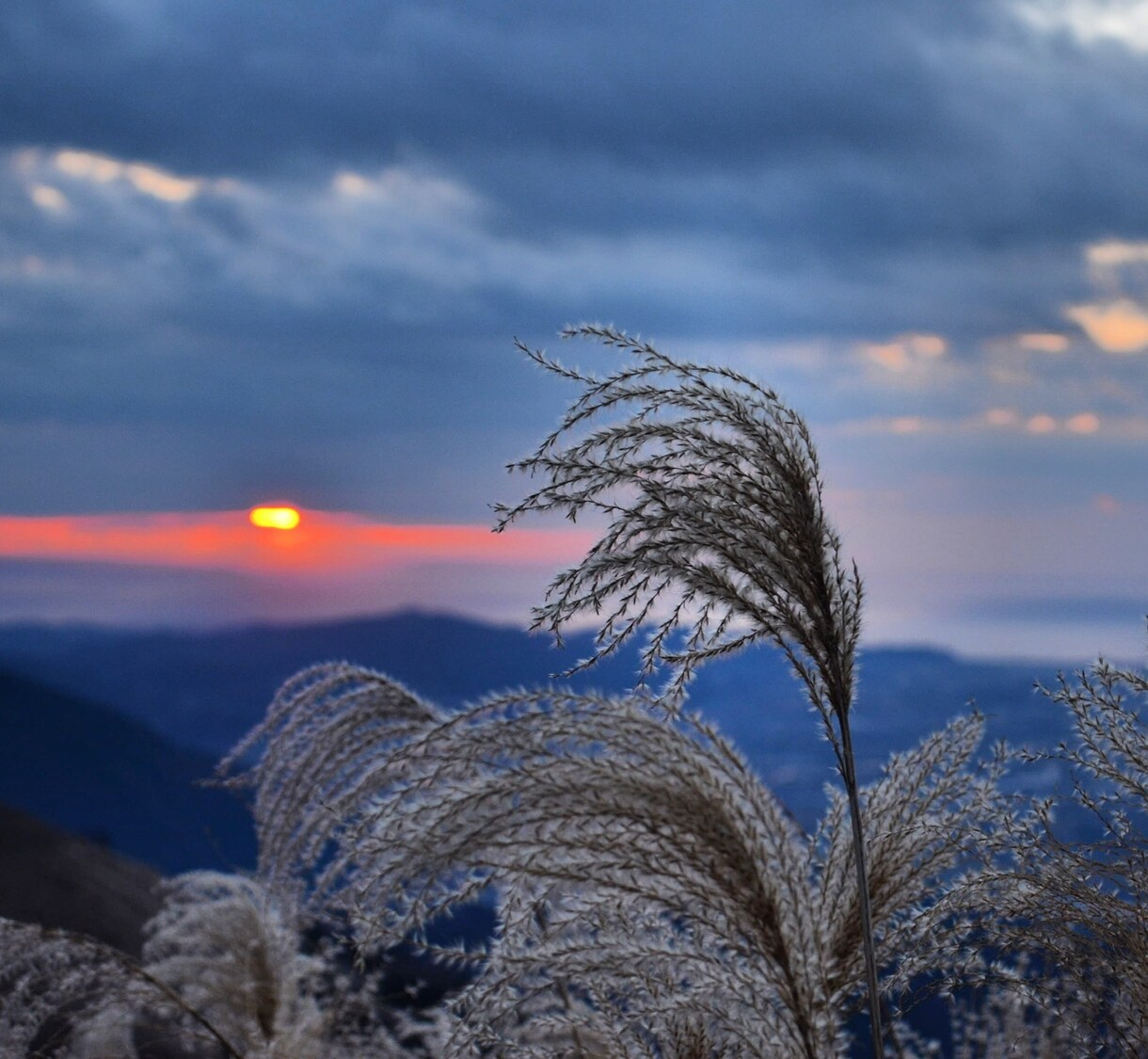 画像編集、風景写真を、日常系を取り扱ってます より美しく、より綺麗なものを追求します。 イメージ4
