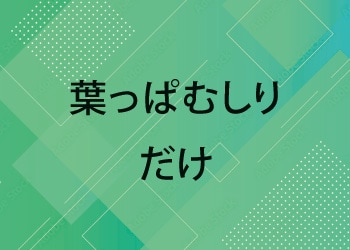 求人キャッチ・文章考えます これまでの採用経験をもとに求職者に刺さるキャッチを考えます イメージ1