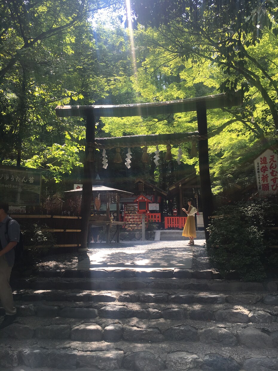 あなたの疲れを遠隔レイキヒーリング で癒します ヒーリングで心がほっと温まります。 イメージ3