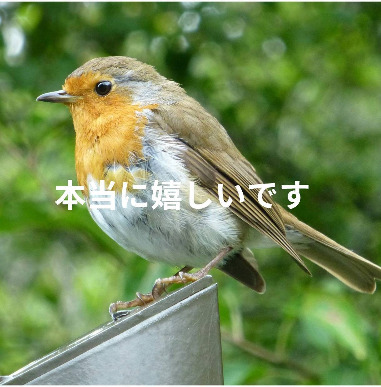 ひきこもり・生きづらさを抱えるあなたのお話聴きます 元当事者が聴くチャット相談【1日チャット・メッセージ無制限】 イメージ5