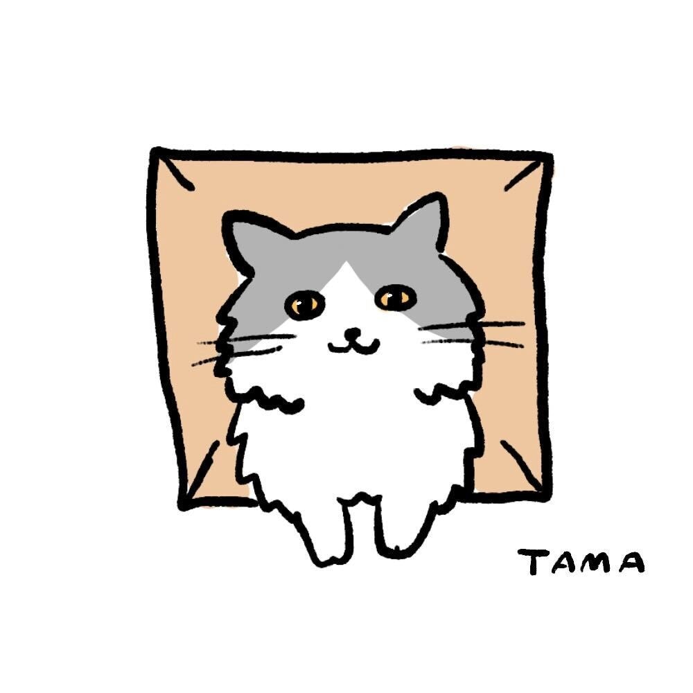 ゆるシンプル♡あなたの猫ちゃんのイラストを描きます SNS・ブログ等のアイコンにも♪ イメージ1
