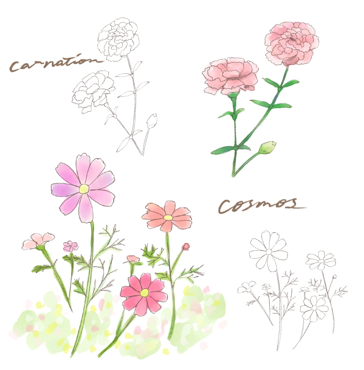 ナチュラルかわいいボタニカルイラスト、描きます 商用利用OK◎優しく温かい水彩風タッチが得意です イメージ3
