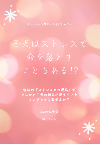 子犬・子猫と笑顔で暮らせる秘訣がわかります 奇跡の確率で出会ったわんにゃんとハッピーライフを送りましょう イメージ2