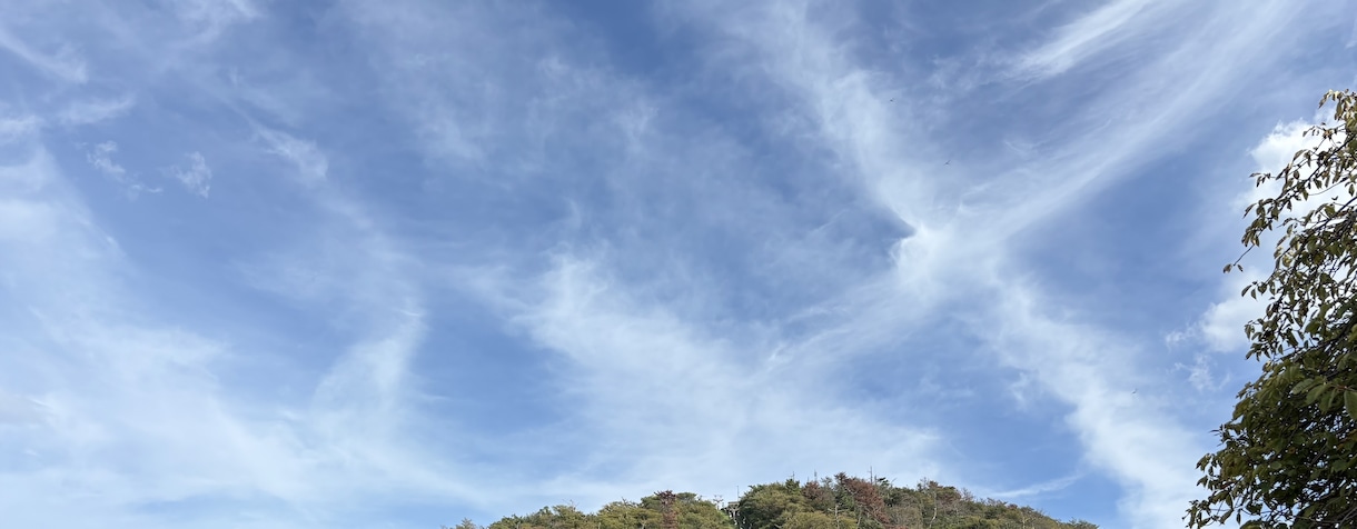 一緒に笑いましょ。心のモヤモヤ吹き飛ばします 不満も愚痴も聞きます。なんなら一緒に文句言っちゃいます。笑 イメージ4