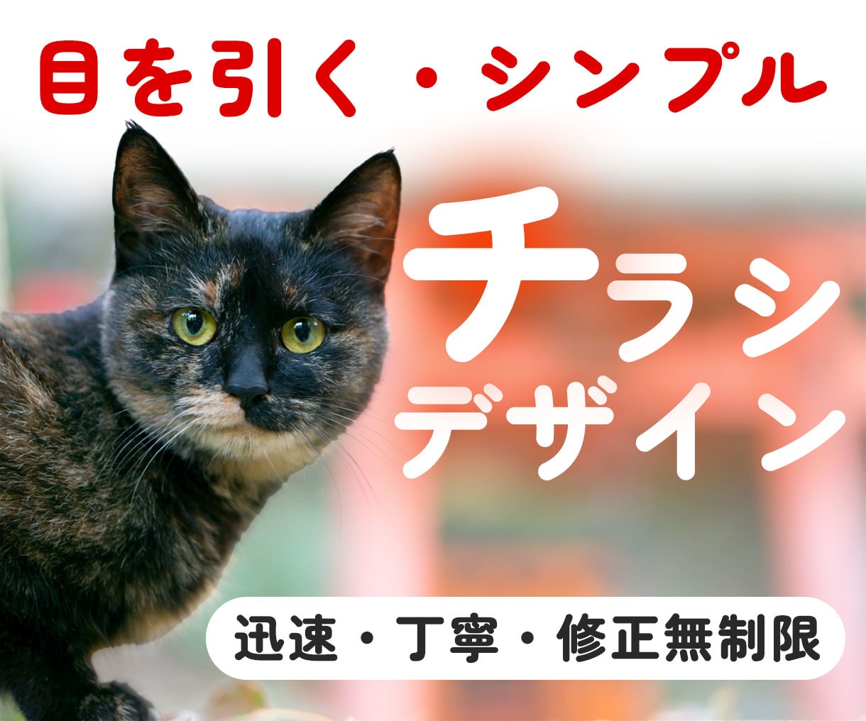 地域密着！保護猫イベントのチラシお作りします “会いに行きたい”と思ってもらえるデザインを。 イメージ1