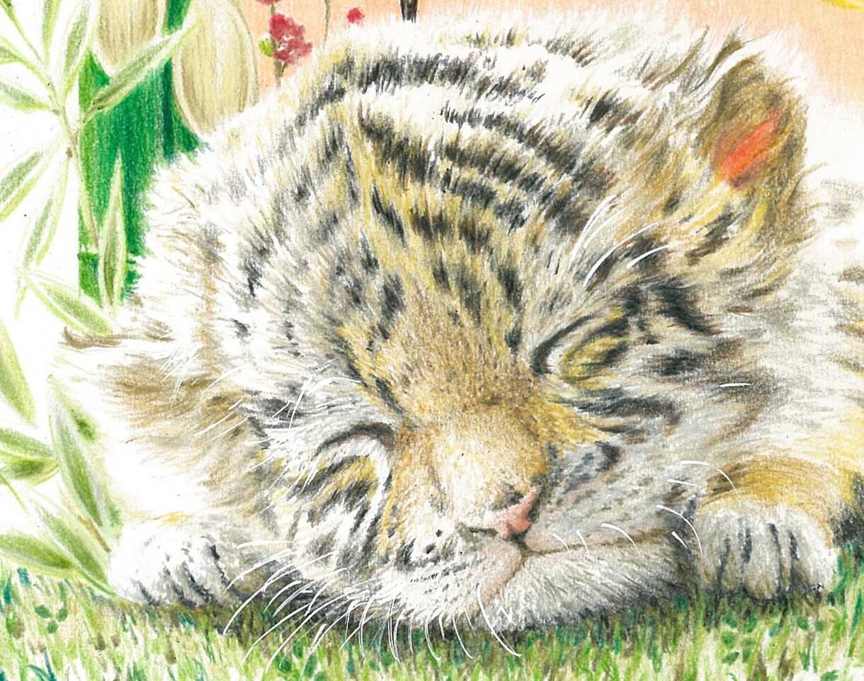 色鉛筆でリアルなペットの絵をお描きいたします リアルで力強く、かつ優しいペットの絵の原画をお送り致します。 イメージ6