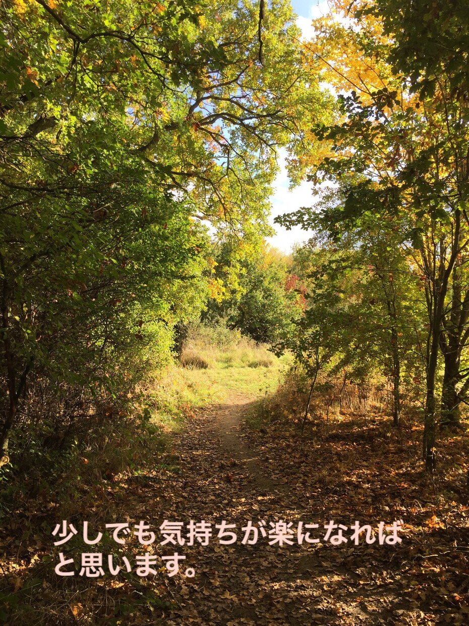 カサンドラさんの心に寄り添います 悩み、愚痴、お聞きします。アプリ通話限定 イメージ5