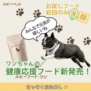 大人かわいい女性向けWEB画像お作りします ママデザイナーが思わずときめく♡WEB画像を作成 イメージ2