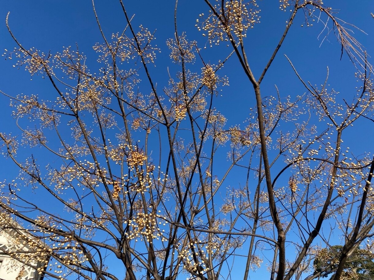 吐き出したい想いを聴きます あなたのことを否定しない。そんな所でありたい。 イメージ1