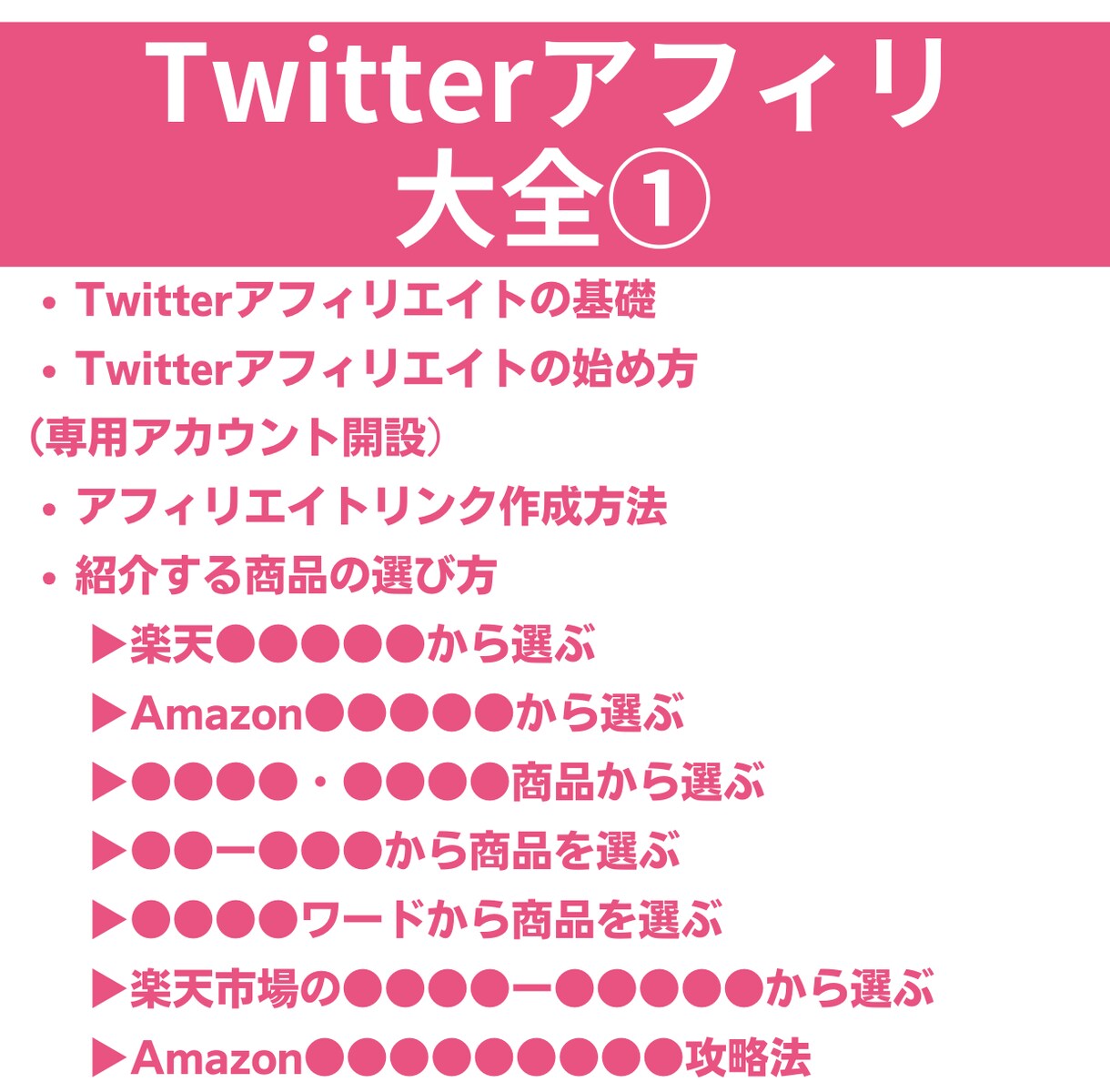 Twitterアフィリとシャドウバン対策が学べます 副業でSNSアフィリを独学で始める！おすすめスターターセット イメージ3