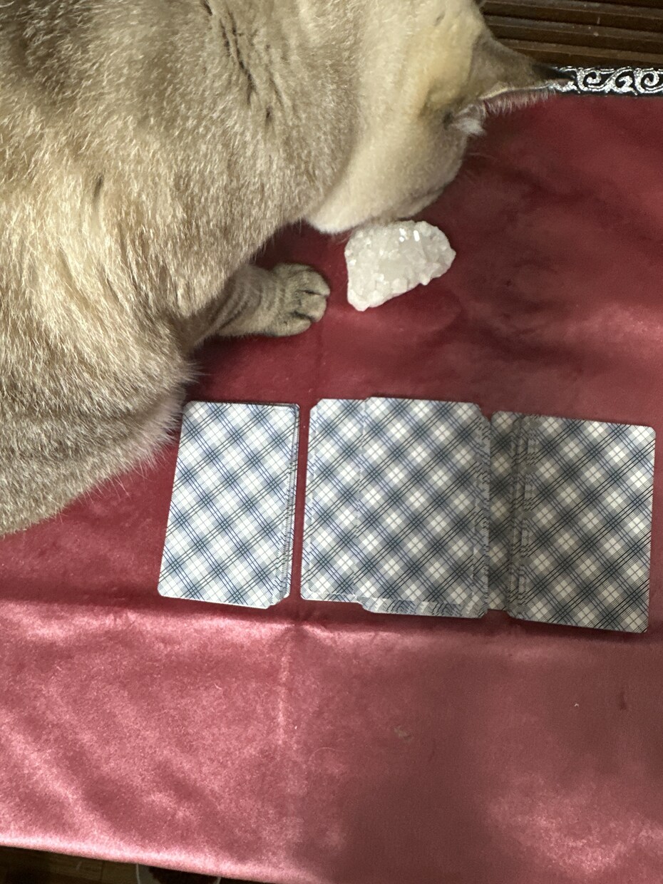 タロットカード数秘術スピリチュアルによりお導きます 見えるものだけが全て?見えない世界からのメッセージで安寧を イメージ2