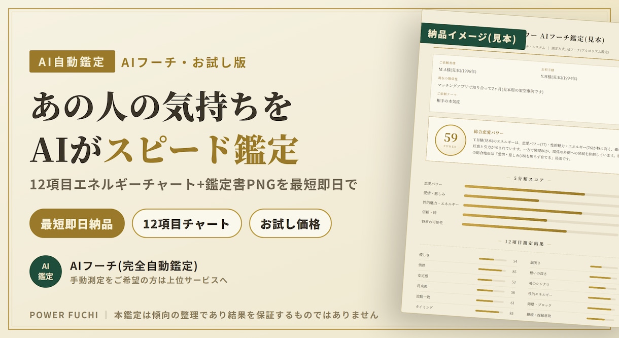 あの人の“好き”を12項目で数値化します フーチ測定15年の理論で｜鑑定書PNG｜最短即日 イメージ2